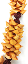 Rudrakhs Chandan Mala for Photo
