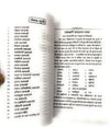 Ekadashi Vrat Katha