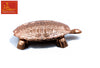 Turtle with Plate Copper Small