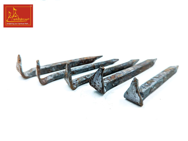 Nag Fani Ki Kile (Pack of 5)