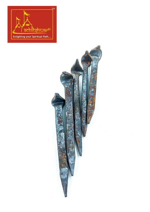 Nag Fani Ki Kile (Pack of 5)
